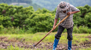 Changing The Framework Of The Agricultural Sector With The Introduction Of Agriculture Inoculants