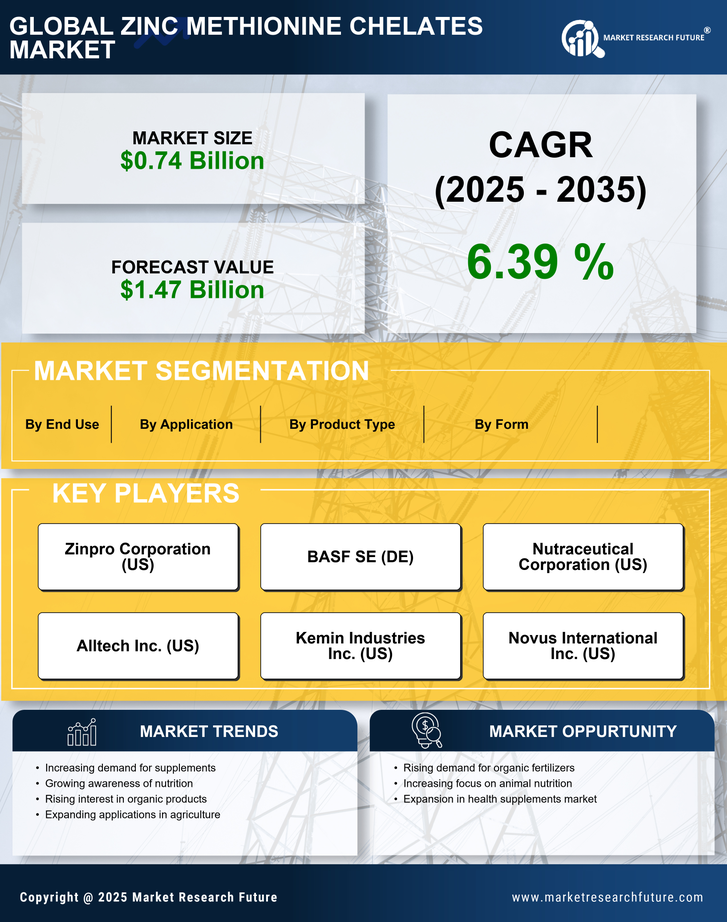 Zinc Methionine Chelates Market Research Report — Global Forecast till 2035 Infographic