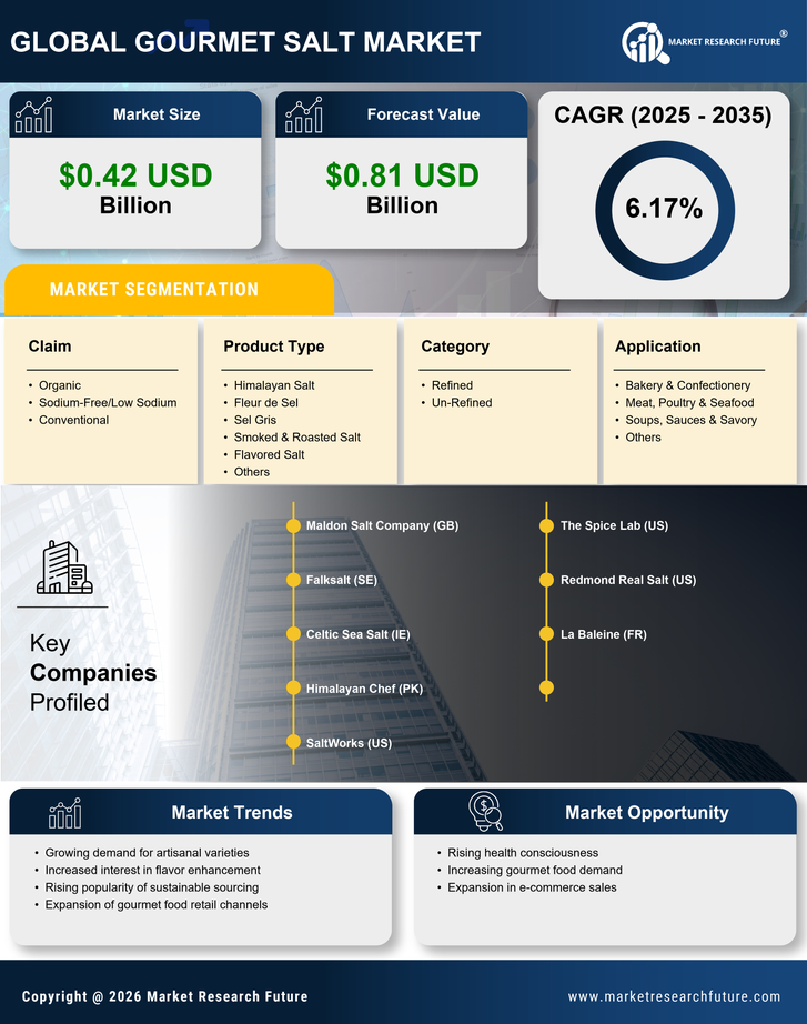 Gourmet Salt Market Research Report-Global Forecast till 2035 Infographic