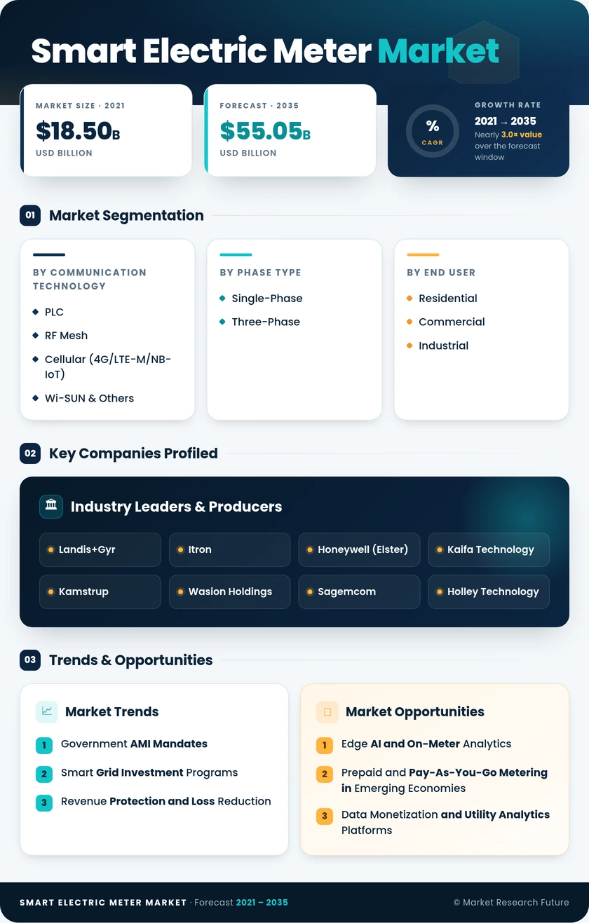 Smart Electric Meter Market Research Report — Global Forecast till 2035 Infographic