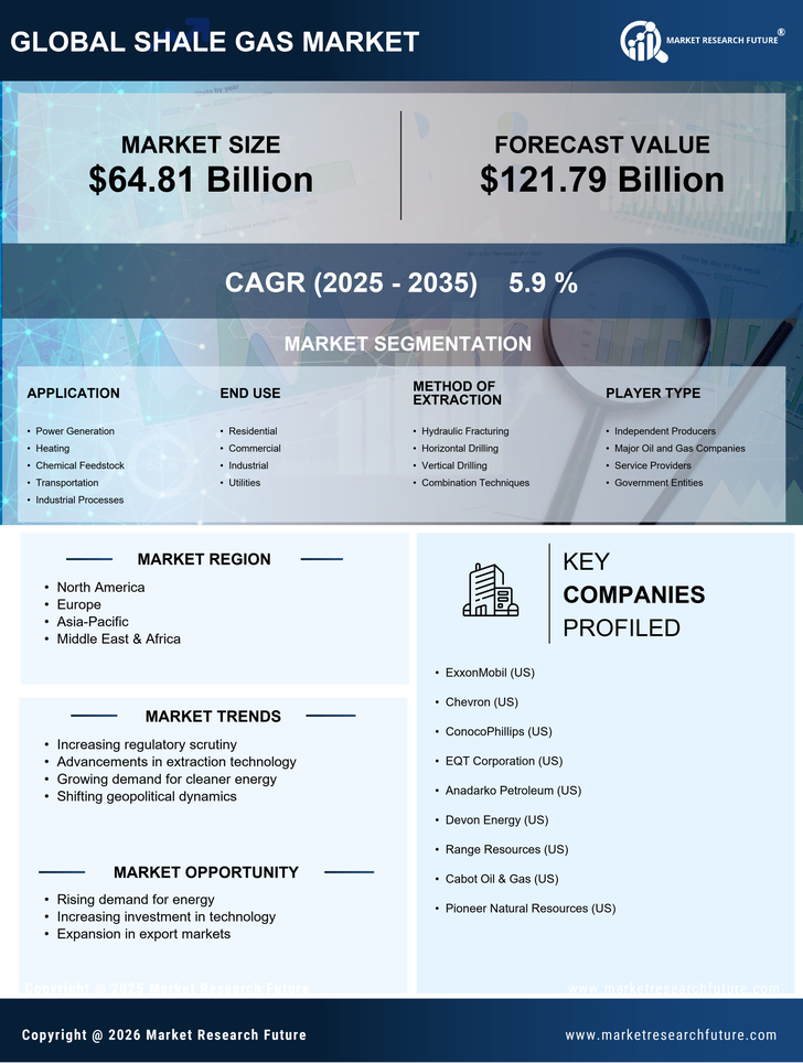 Shale Gas Market Research Report - Forecast till 2035 Infographic