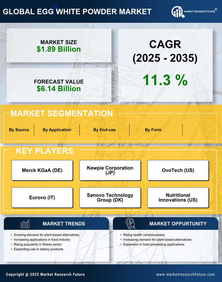 Egg White Powder Market Research Report — Forecast till 2035 Infographic