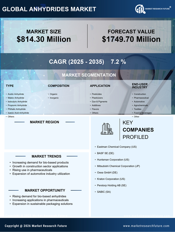 US Anhydrides Market Infographic