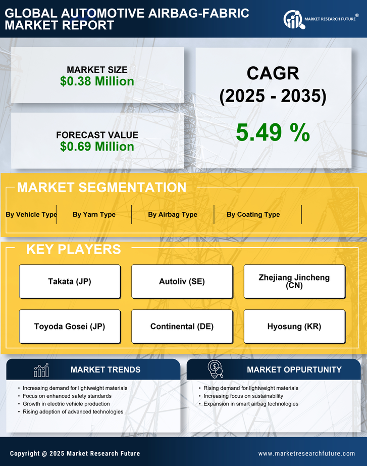 US Automotive Airbag Fabric Market Infographic