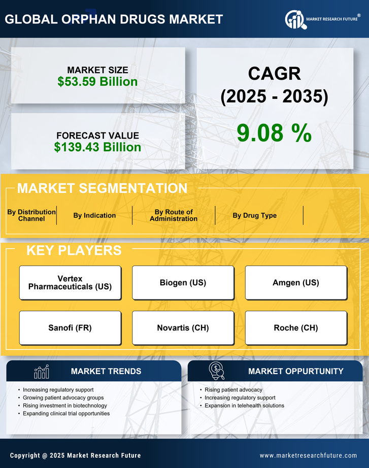US Orphan Drugs Market Infographic