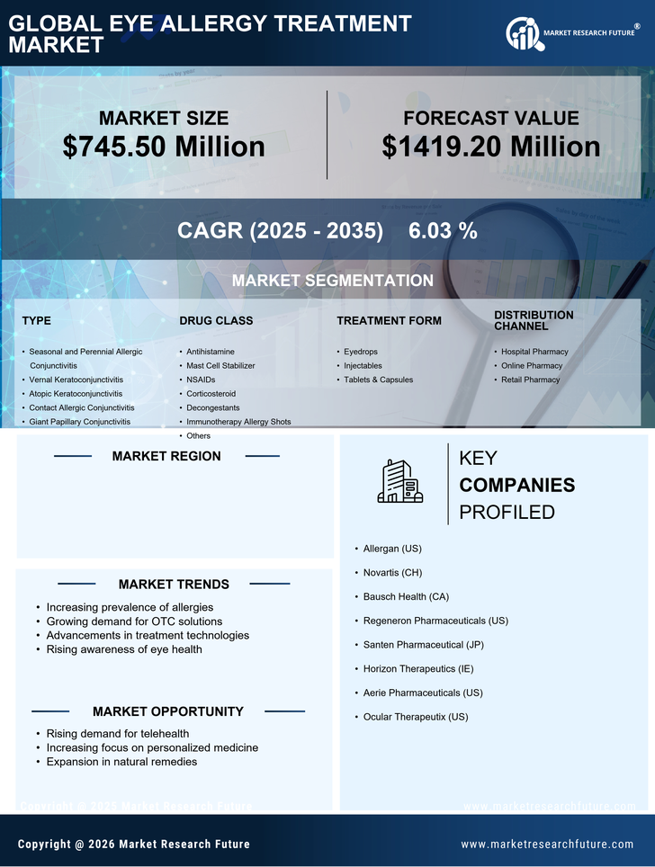 US Eye Allergy Treatment Market Infographic
