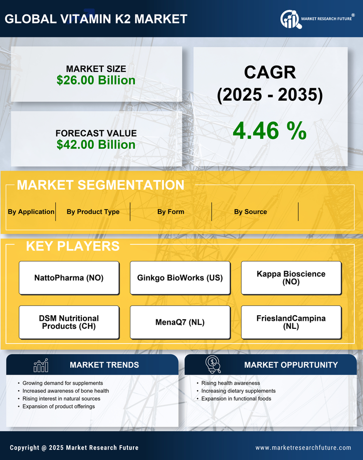 US Vitamin K2 Market Infographic