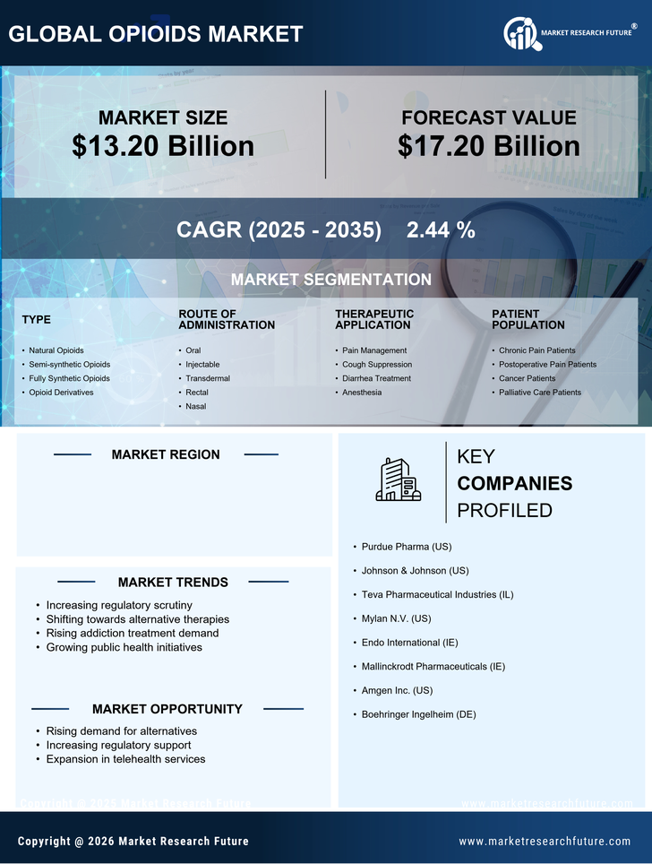 US Opioids Market Infographic