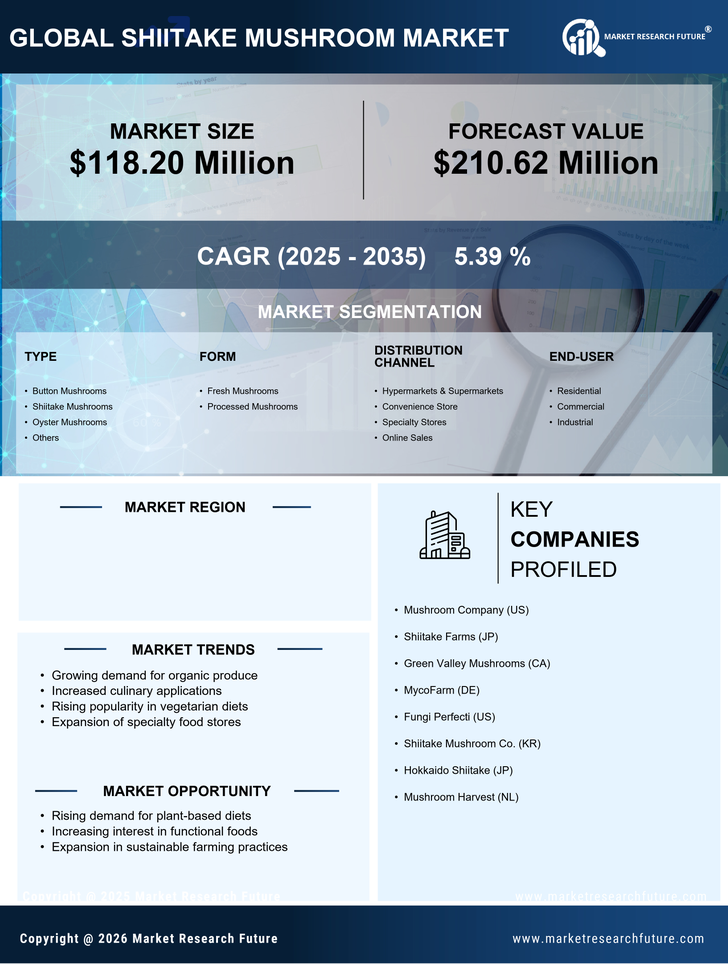 US Shiitake Mushroom Market Research Report — Forecast till 2035 Infographic