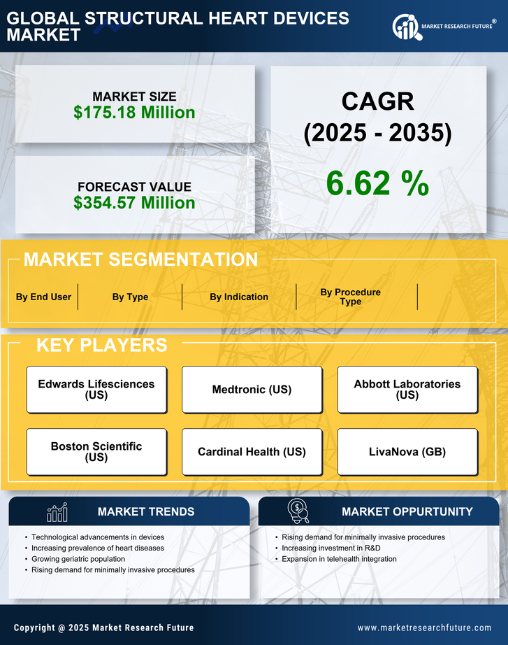 US Structural Heart Devices Market Research Report - Forecast to 2035 Infographic