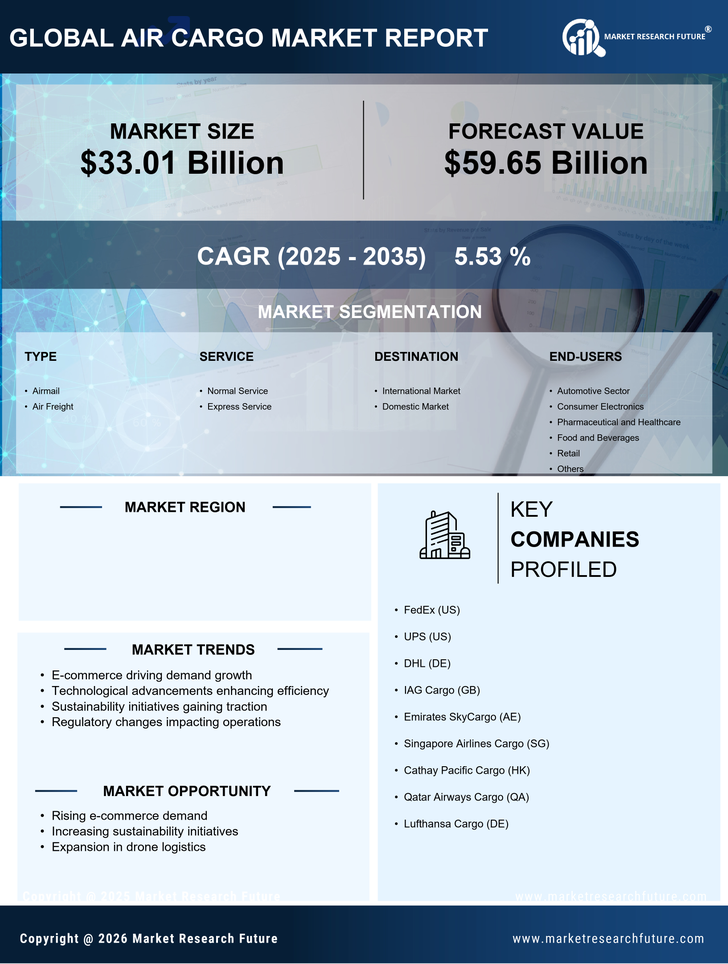 US Air Cargo Market Infographic