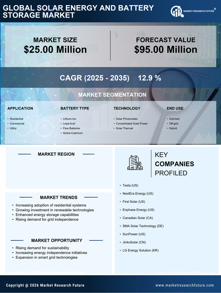 US Solar Energy and Battery Storage Market Infographic