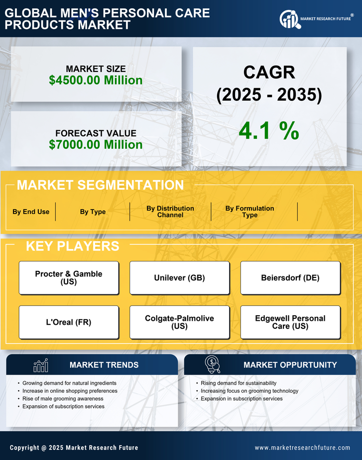 US Mens Personal Care Products Market Infographic