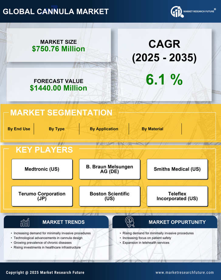 US Cannula Market Infographic
