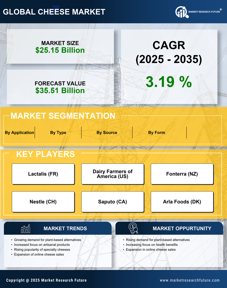 US Cheese Market Research Report — Forecast till 2035 Infographic