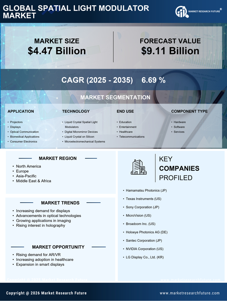 Spatial Light Modulator Market Research Report – Forecast to 2035 Infographic