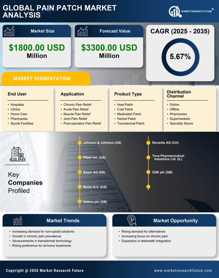 US Pain Patch Market Infographic