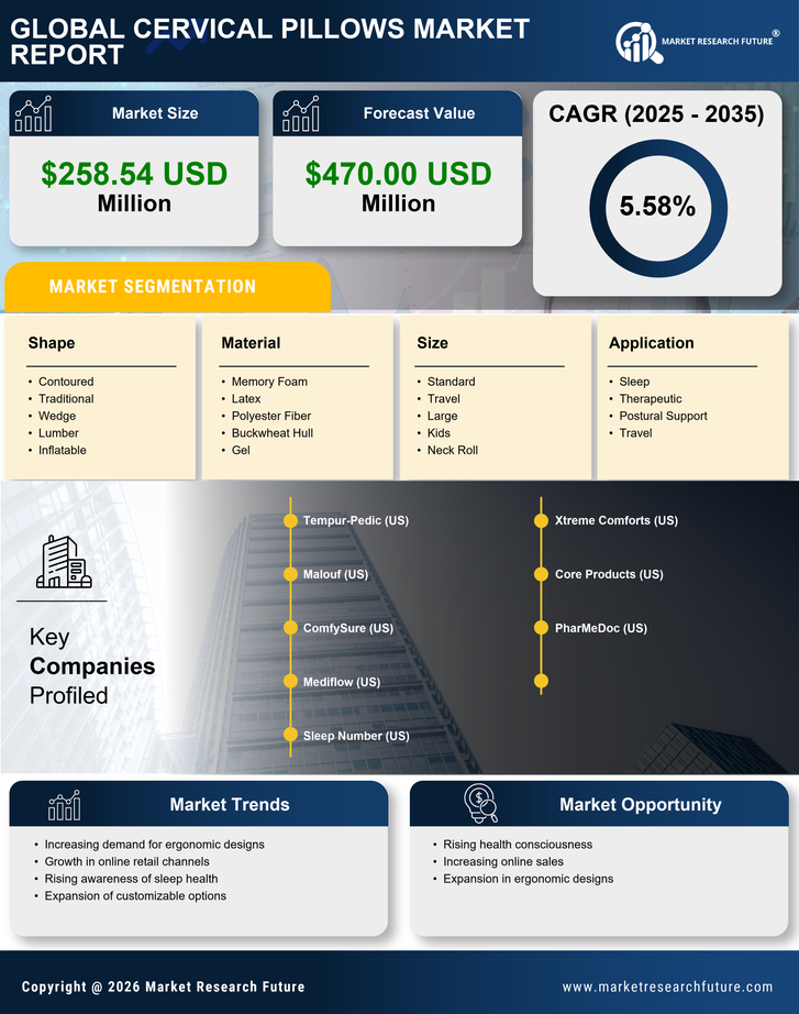 US Cervical Pillows Market Infographic