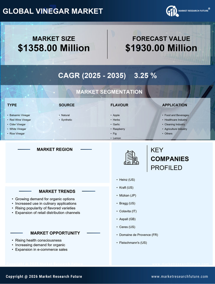 US Vinegar Market Research Report — Forecast till 2035 Infographic