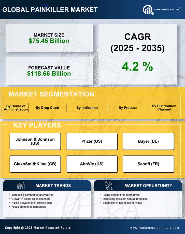 Painkiller Market Research Report — Global Forecast till 2035 Infographic