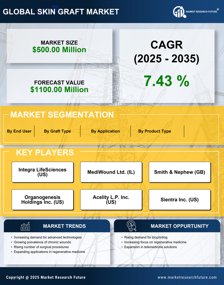 US Skin Graft Market Infographic