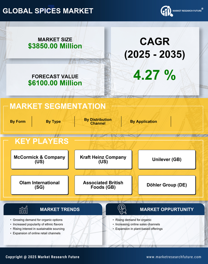 US Spices Seasonings Market Research Report — Forecast till 2035 Infographic