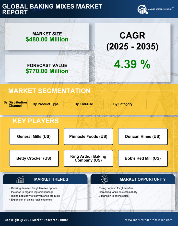 US Baking Mixes Market Infographic