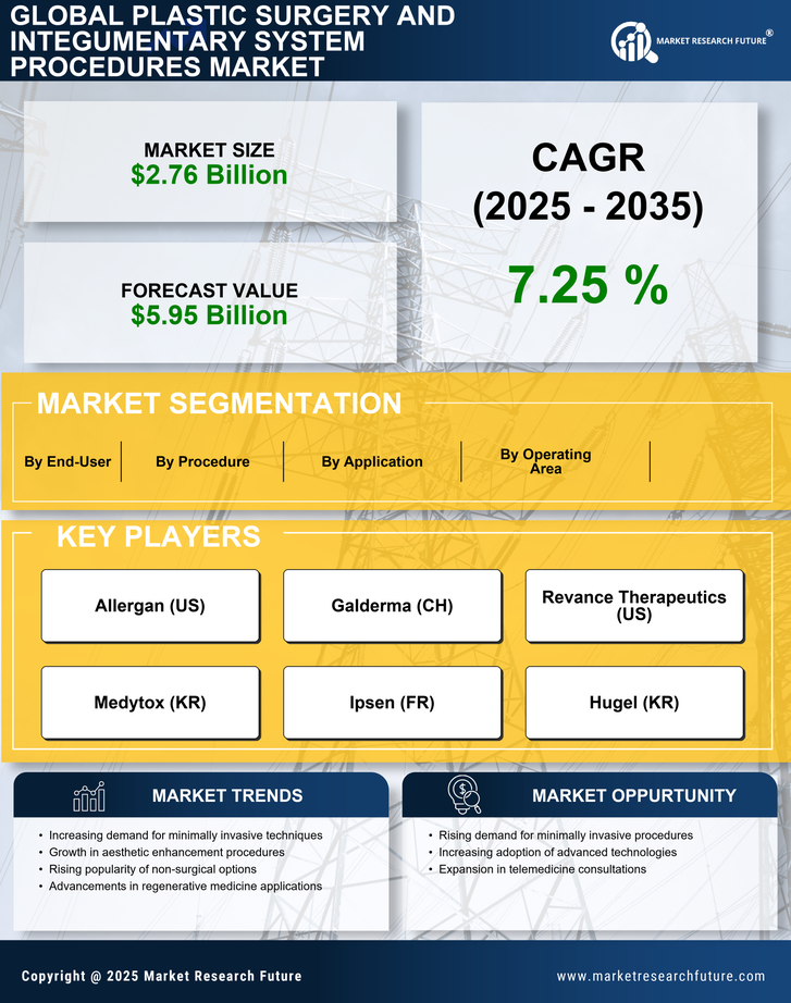 Plastic Surgery and Integumentary System Procedures Market Research Report- Forecast to 2035 Infographic