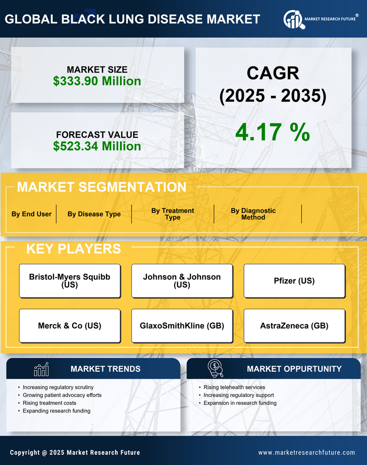 US Black Lung Disease Market Infographic
