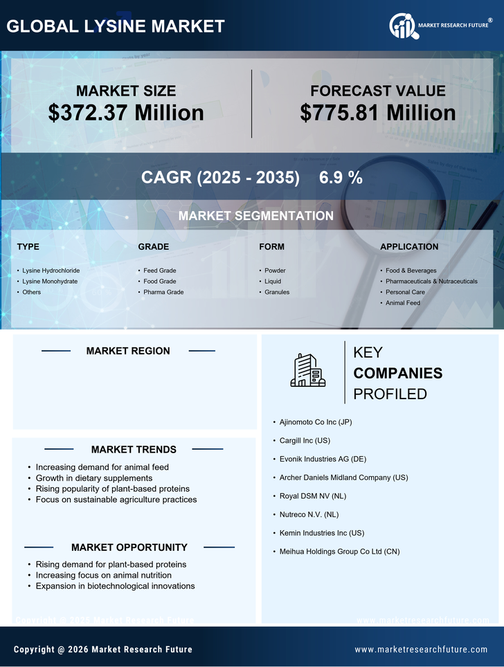 US Lysine Market Research Report - Forecast Till 2035 Infographic
