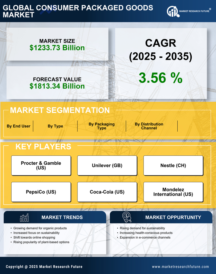 US Consumer Packaged Goods Market Research Report - Forecast Till 2035 Infographic