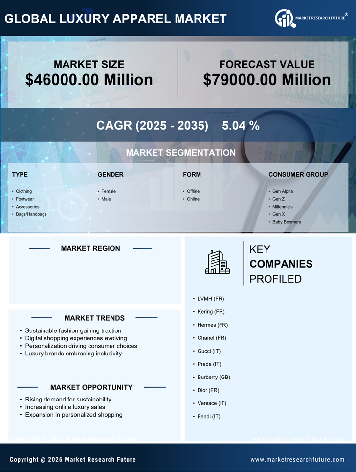 US Luxury Apparel Market Infographic