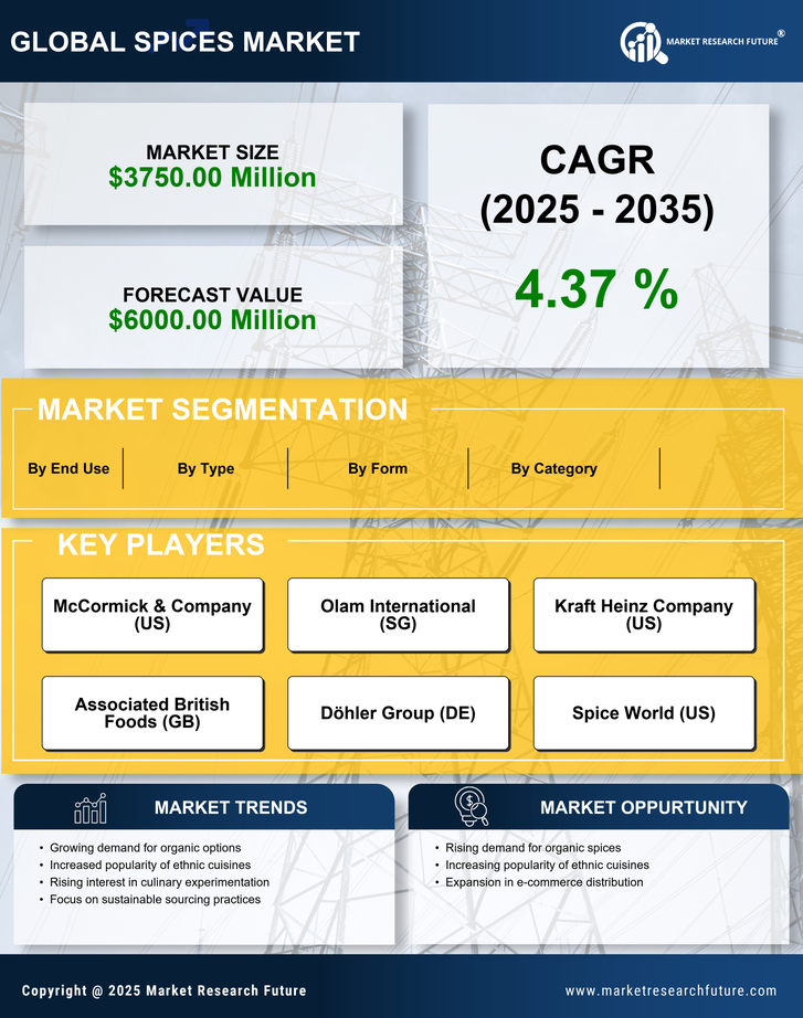 US Spices Market Research Report — Forecast till 2035 Infographic