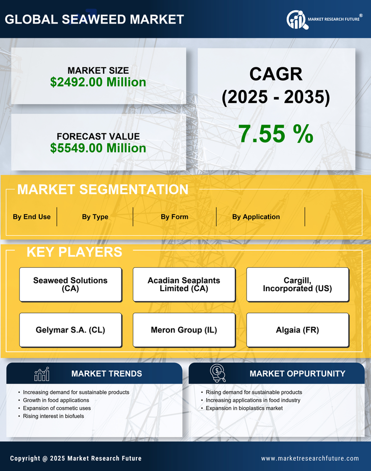 US Seaweed Market Infographic