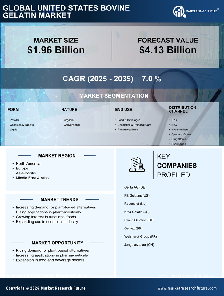 United States Bovine Gelatin Market Research Report—Forecast till 2035 Infographic