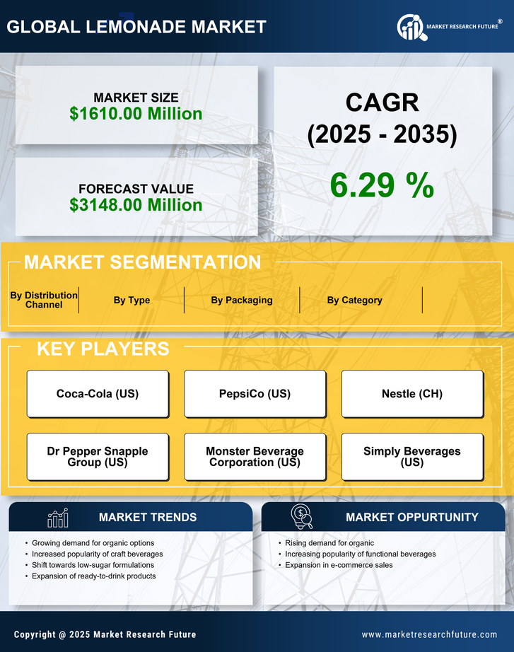 US Lemonade Market Research Report — Forecast till 2035 Infographic