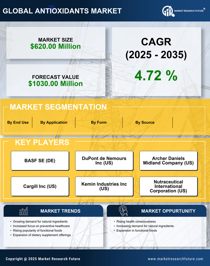 US Antioxidants Market Research Report — Forecast till 2035 Infographic