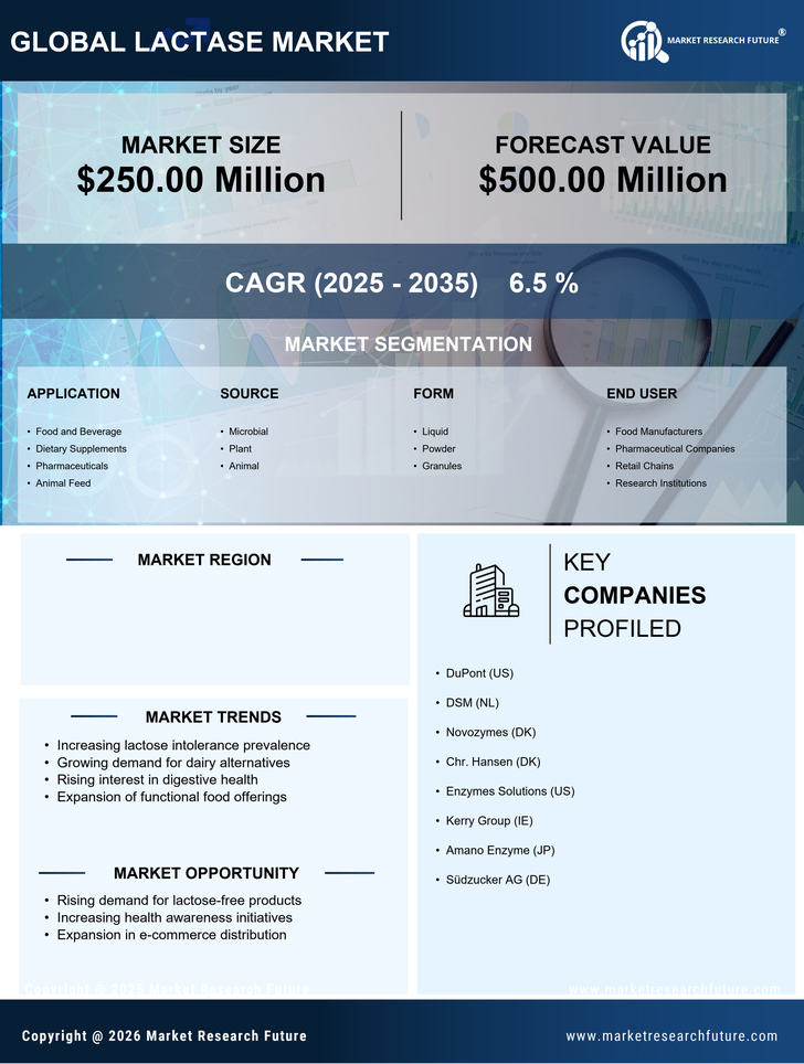 US Lactase Market Research Report — Forecast till 2035 Infographic