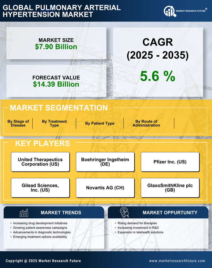 Pulmonary Arterial Hypertension Market Research Report — Global Forecast till 2035 Infographic