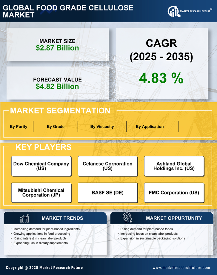 Food Grade Cellulose Market Research Report — Global Forecast till 2035 Infographic