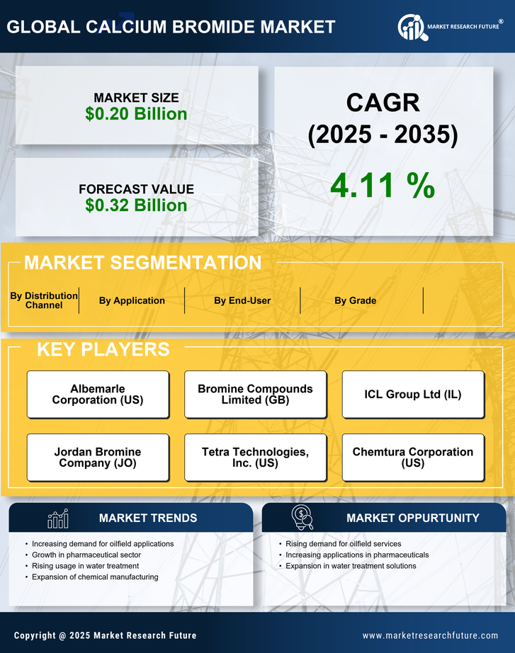 Calcium Bromide Market Research Report - Global Forecast by 2035 Infographic