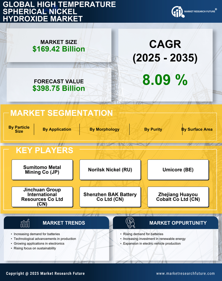 High Temperature Spherical Nickel Hydroxide Market Research Report — Global Forecast till 2035 Infographic