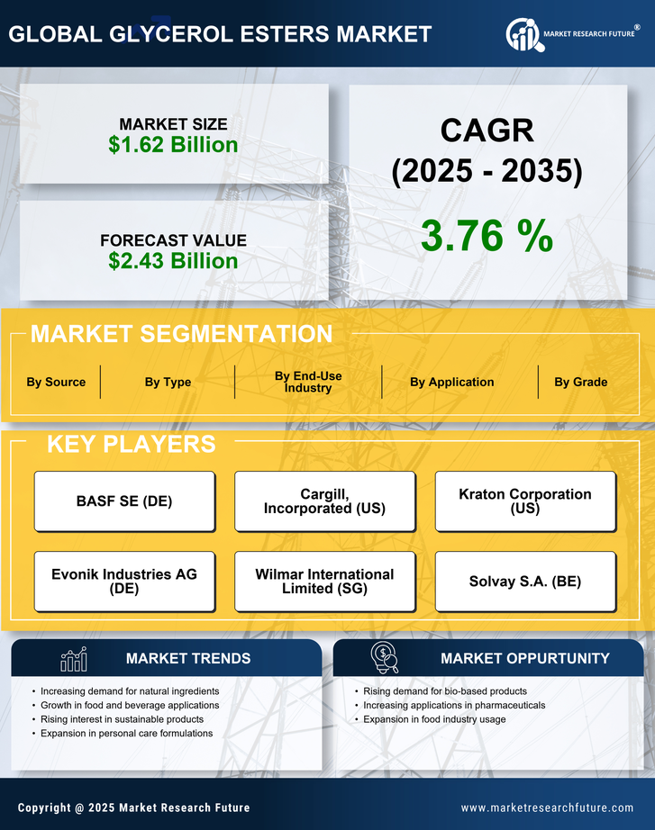 Glycerol Esters Market Research Report- Global Forecast by 2035 Infographic