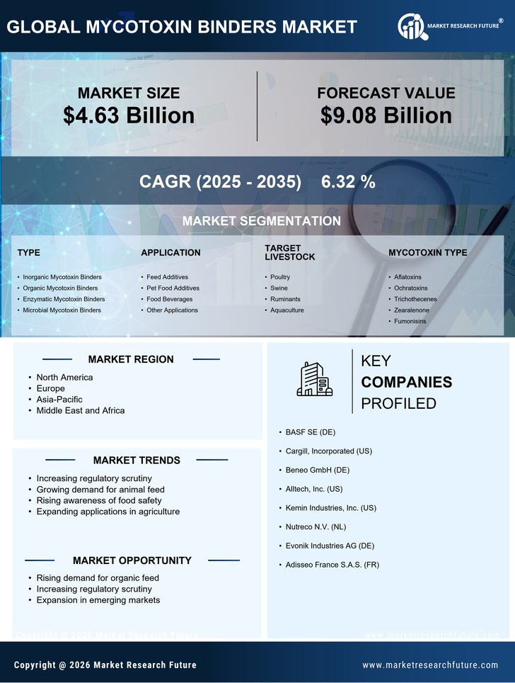 Mycotoxin Binders Market Research Report — Global Forecast till 2035 Infographic