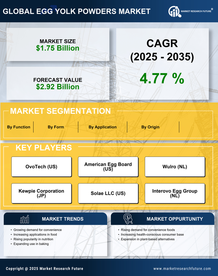 Egg Yolk Powders Market Research Report — Global Forecast till 2035 Infographic