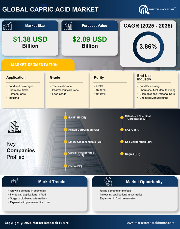 Capric Acid Market Research Report — Global Forecast till 2035 Infographic