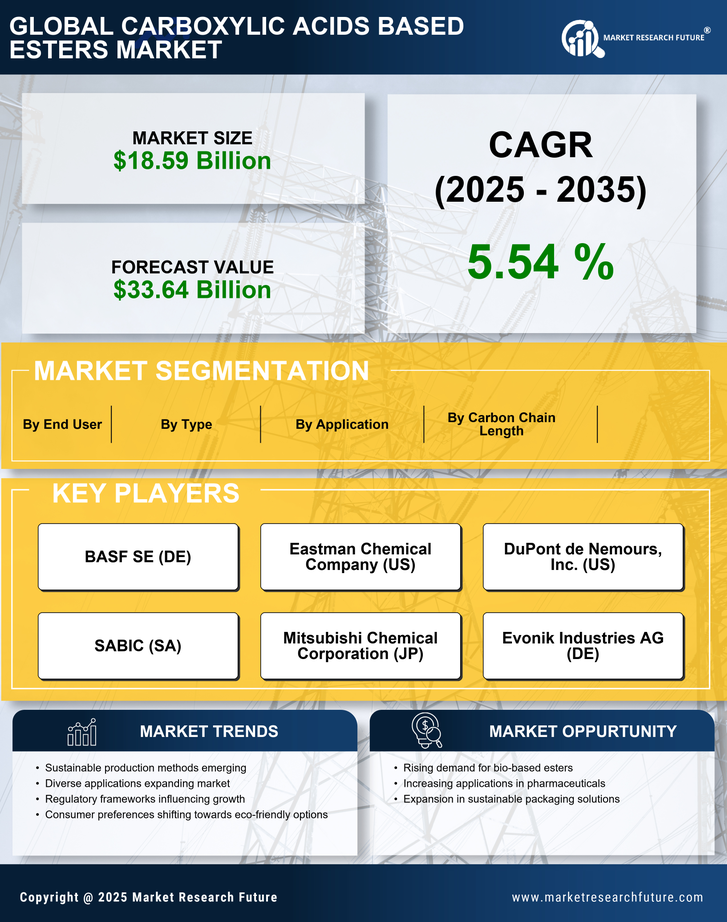Carboxylic Acids Based Esters Market Research Report — Global Forecast till 2035 Infographic