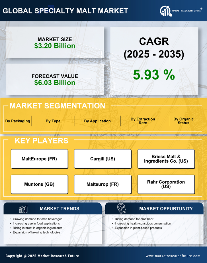 Specialty Malt Market Research Report — Global Forecast till 2035 Infographic