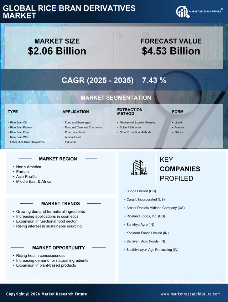 Rice Bran Derivatives Market Research Report — Global Forecast till 2035 Infographic