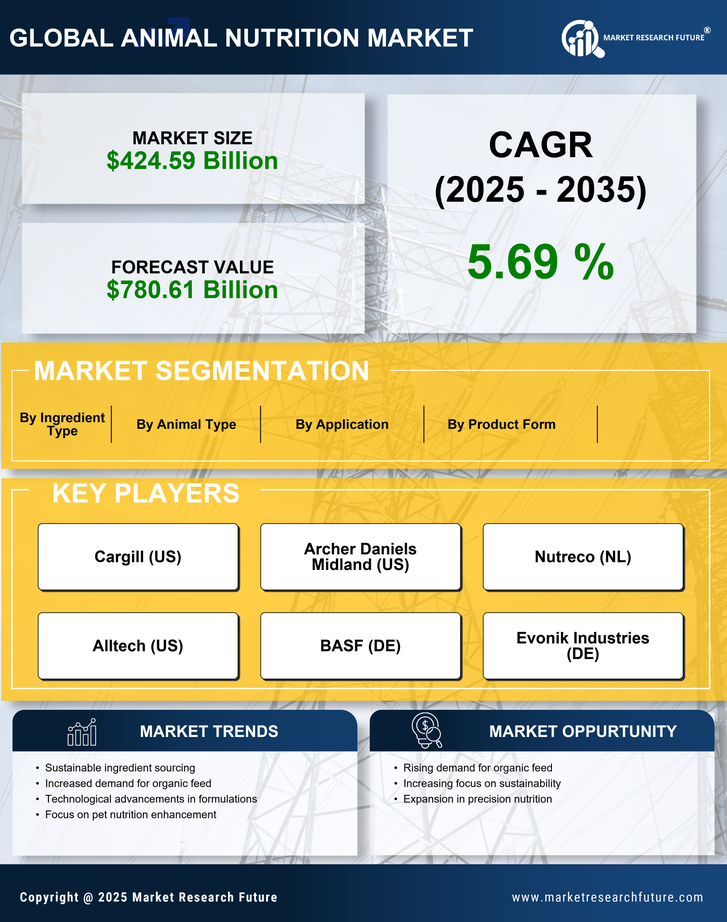 Animal Nutrition Market Research Report — Global Forecast till 2035 Infographic